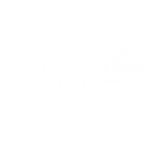01-Plan-Seguro